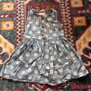 Denim Daisy Dress